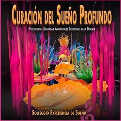 Conexión con el sueño divino