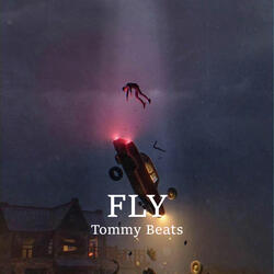 Fly