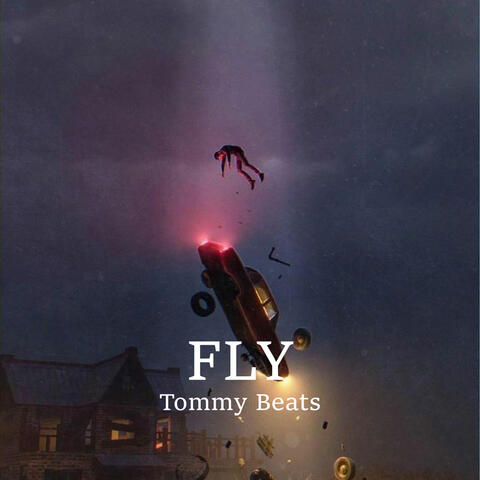 Fly