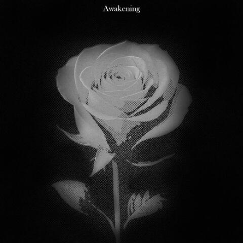 Awakening