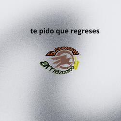 Te pido que regreses