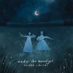 under the moonlight