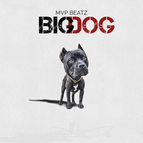 Big Dog