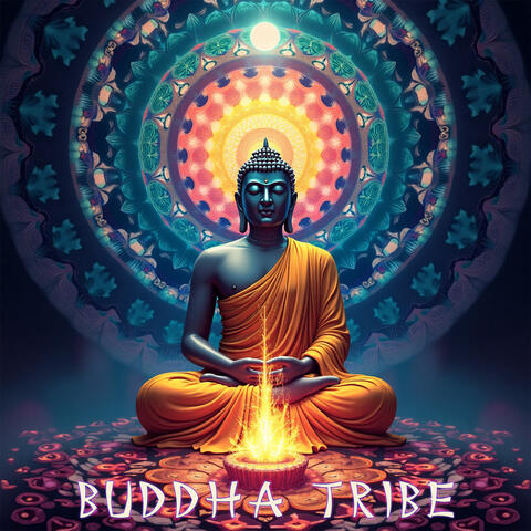 Cosmic Inner Journey