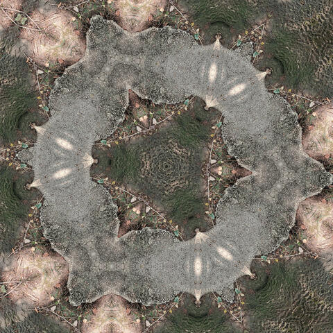 Cryptic Oscillation Mortal Resonance (Rife’s Lost Frequencies)