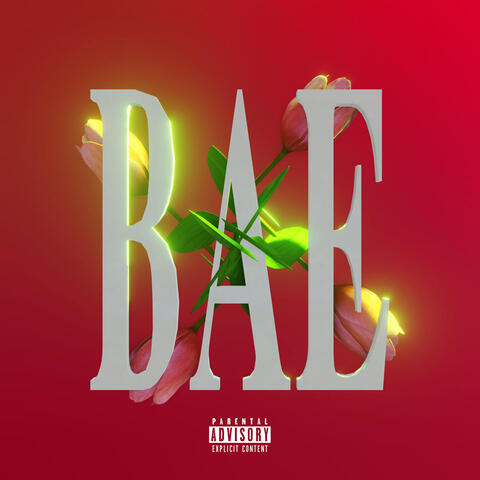 Bae