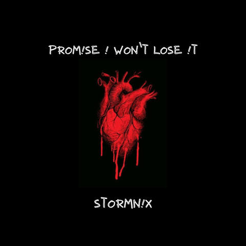 Promise I Won't Lose It