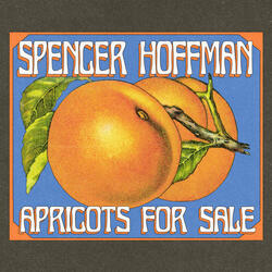 Apricots for Sale