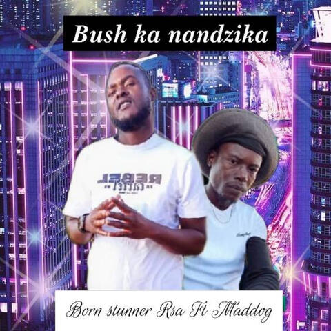 Bush ka Nandzika