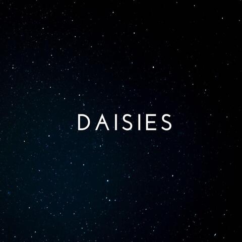 DAISIES