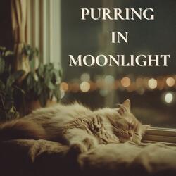 The Warmth of You