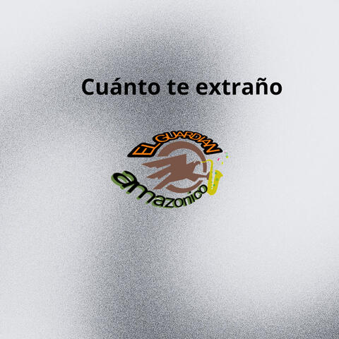 Cuánto te extraño