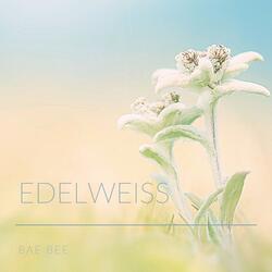 Edelweiss