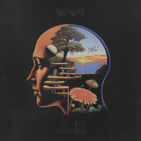 Life’s a Symphony In Unity, It’s Alright