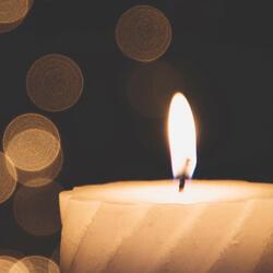 In Between Healing and Nourished