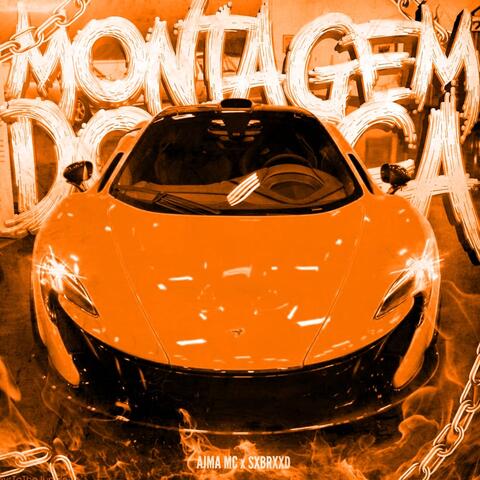 MONTAGEM DO BEGA