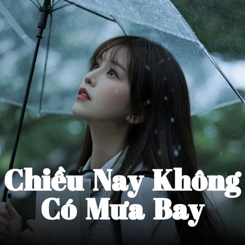 Chiều Nay Không Có Mưa Bay