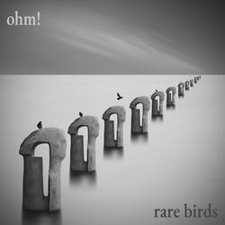 Rare Birds