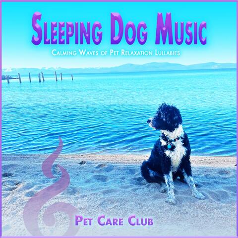 Sleeping Dog Music: Calming Waves of Pet Relaxation Lullabies