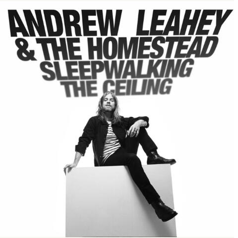 Sleepwalking The Ceiling