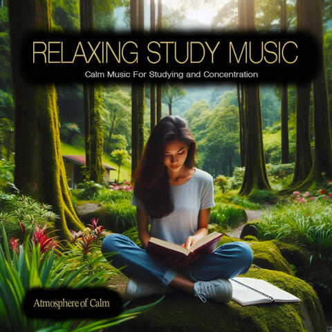 Relaxing Study Music - Calm Music For Studying and Concentration