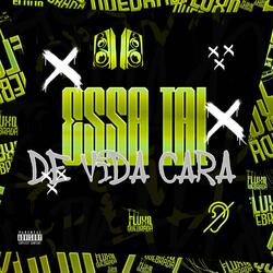 Essa tal de vida cara