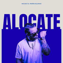 alocate