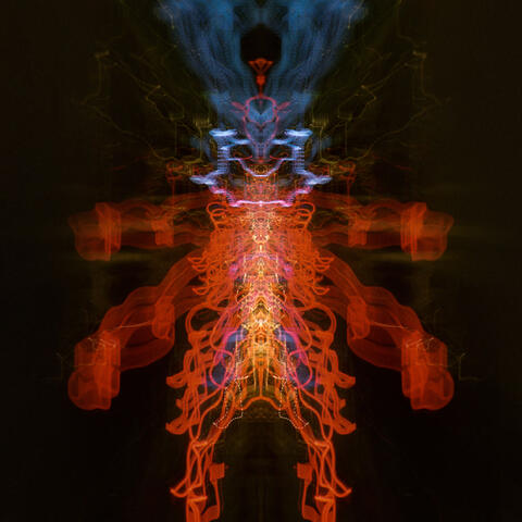 Innards