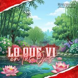 Lo que vi en tus ojos