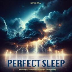 Midnight's Sleep Embrace