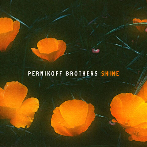 Shine