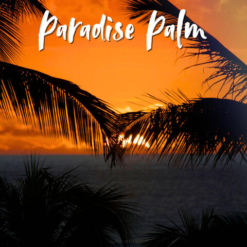Paradise Palm