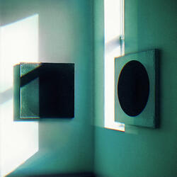 Sing drowned by reflections