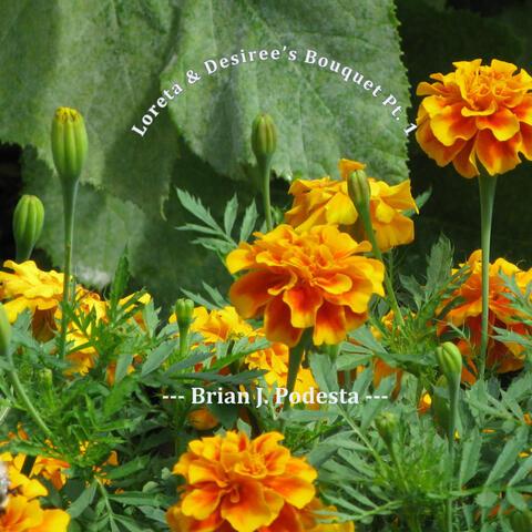 Loreta & Desiree's Bouquet, Pt. 1