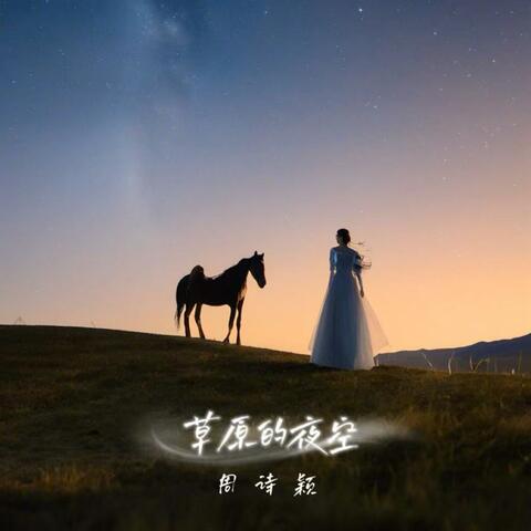 Night over the Grassland