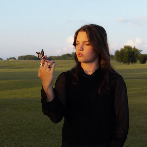 Butterflies Start To Sting