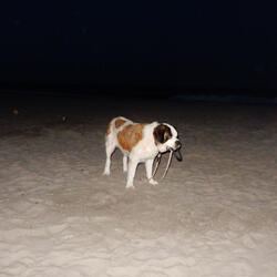 Self-Awareness is An Art (outro)