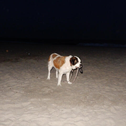 Self-Awareness is An Art