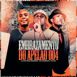 Embrazamento do apelão 004