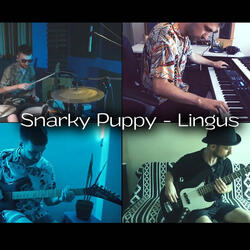 Lingus but it's a one-man-band cover