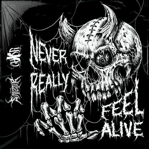 Never Really Feel Alive