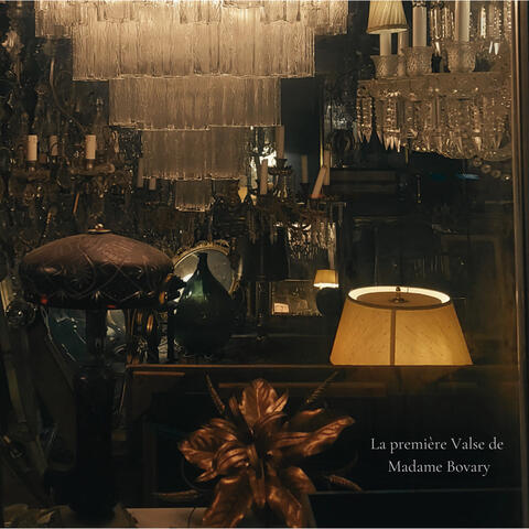 La première valse de madame bovary