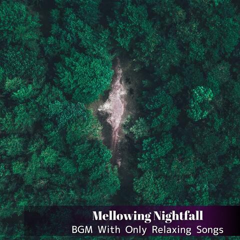 BGM With Only Relaxing Songs