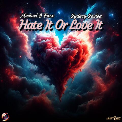 Hate It Or Love It