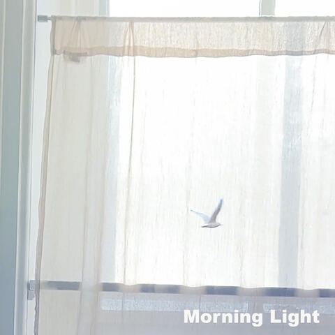 Morning Light