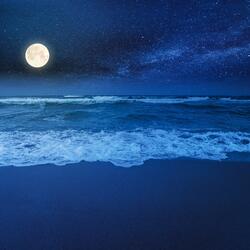 Soothing Evening Sounds for Relaxation