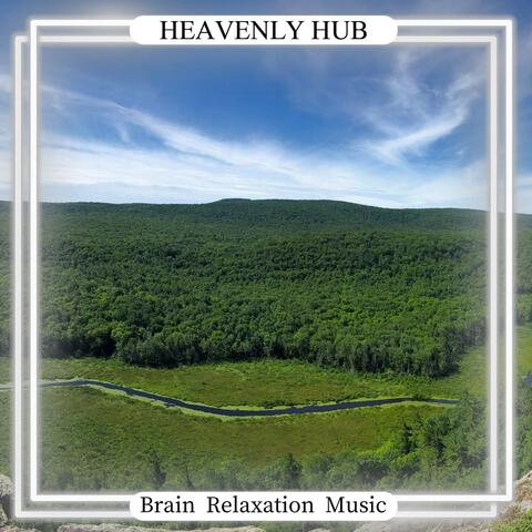 Brain Relaxation Music