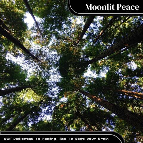 BGM Dedicated To Healing Time To Rest Your Brain