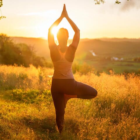Vibras De Yoga Lofi: Sonidos Suaves Para El Equilibrio
