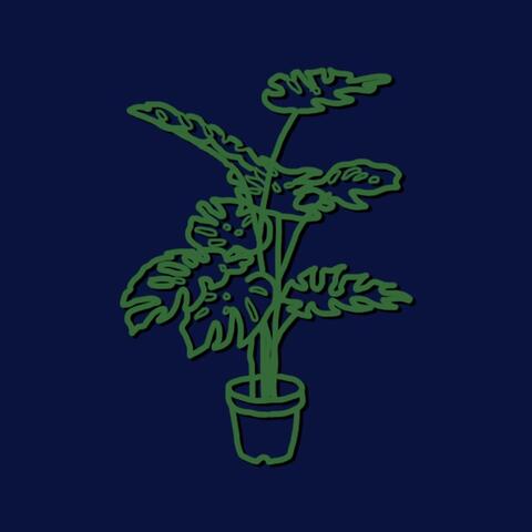 Grow